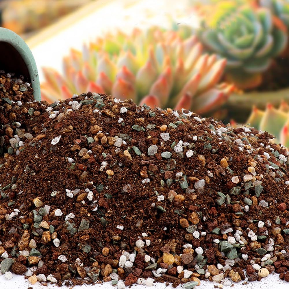 Horticultural Lava Rocks