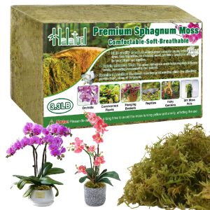 Natural Sphagnum Moss