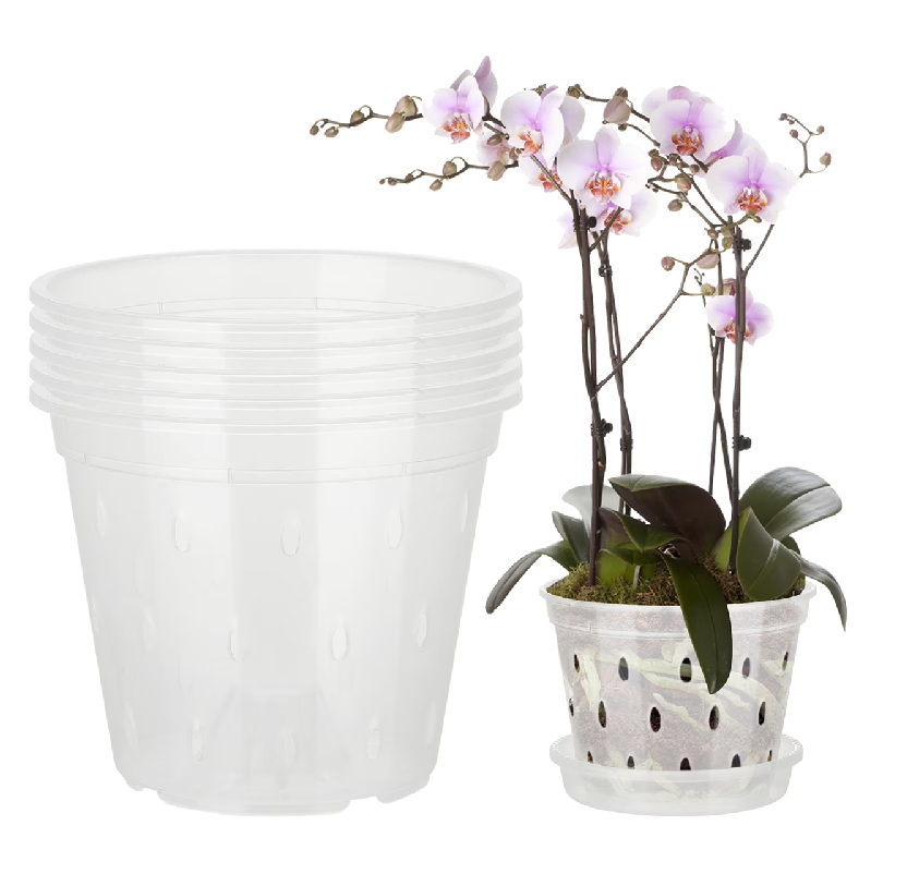 Orchid Slotted Clear Pot Transparent Seedling Pots