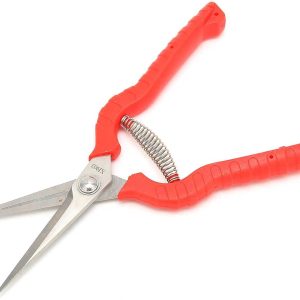 Pruning Scissors