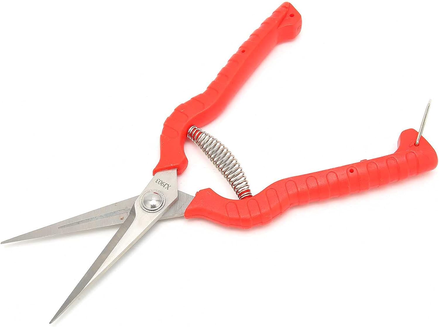 Pruning Scissors
